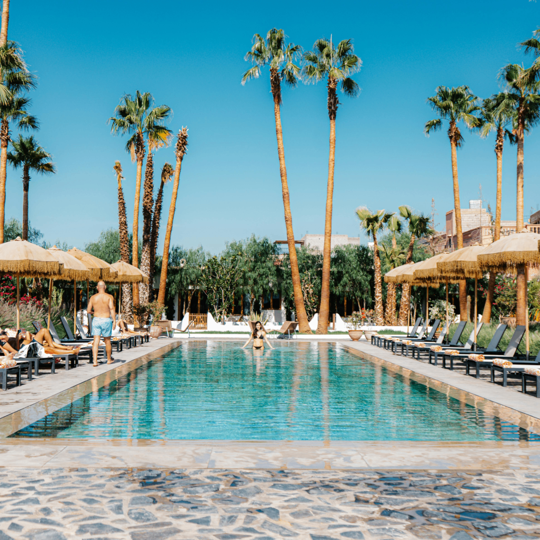 Boutique hotel pool with palm trees